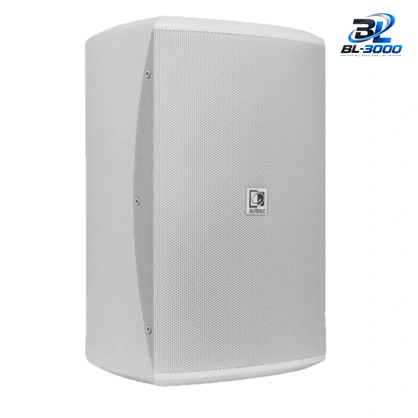 Enceinte de puissance 2 voies 8' 175 W