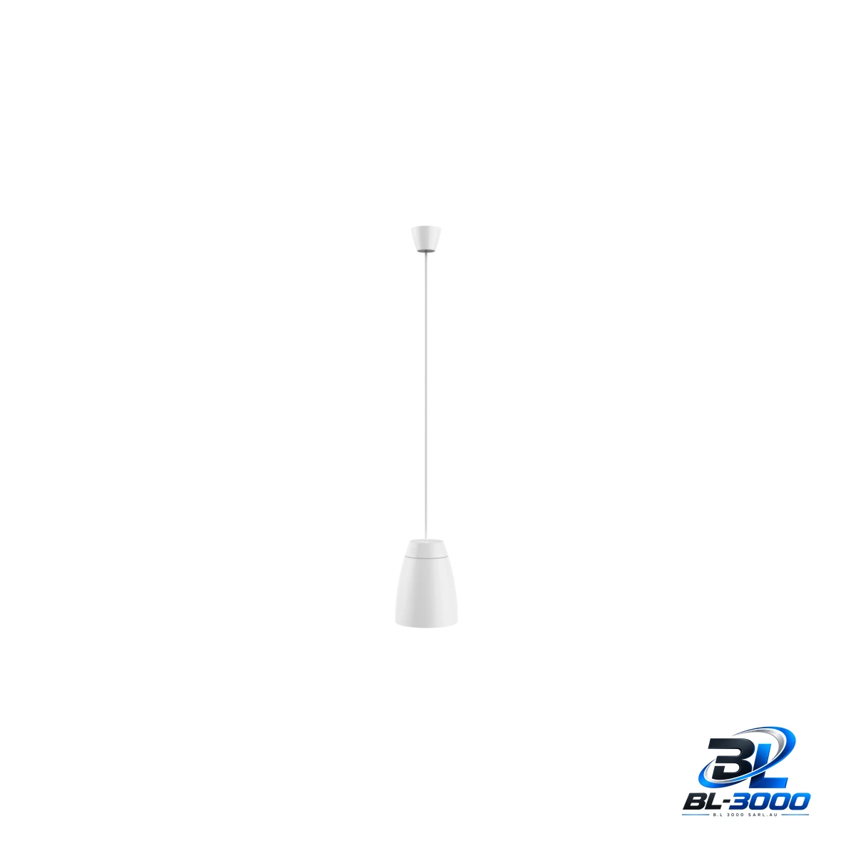 Enceinte suspendue 4', 2 voies 24 W, 70V/100V & 16 ohms