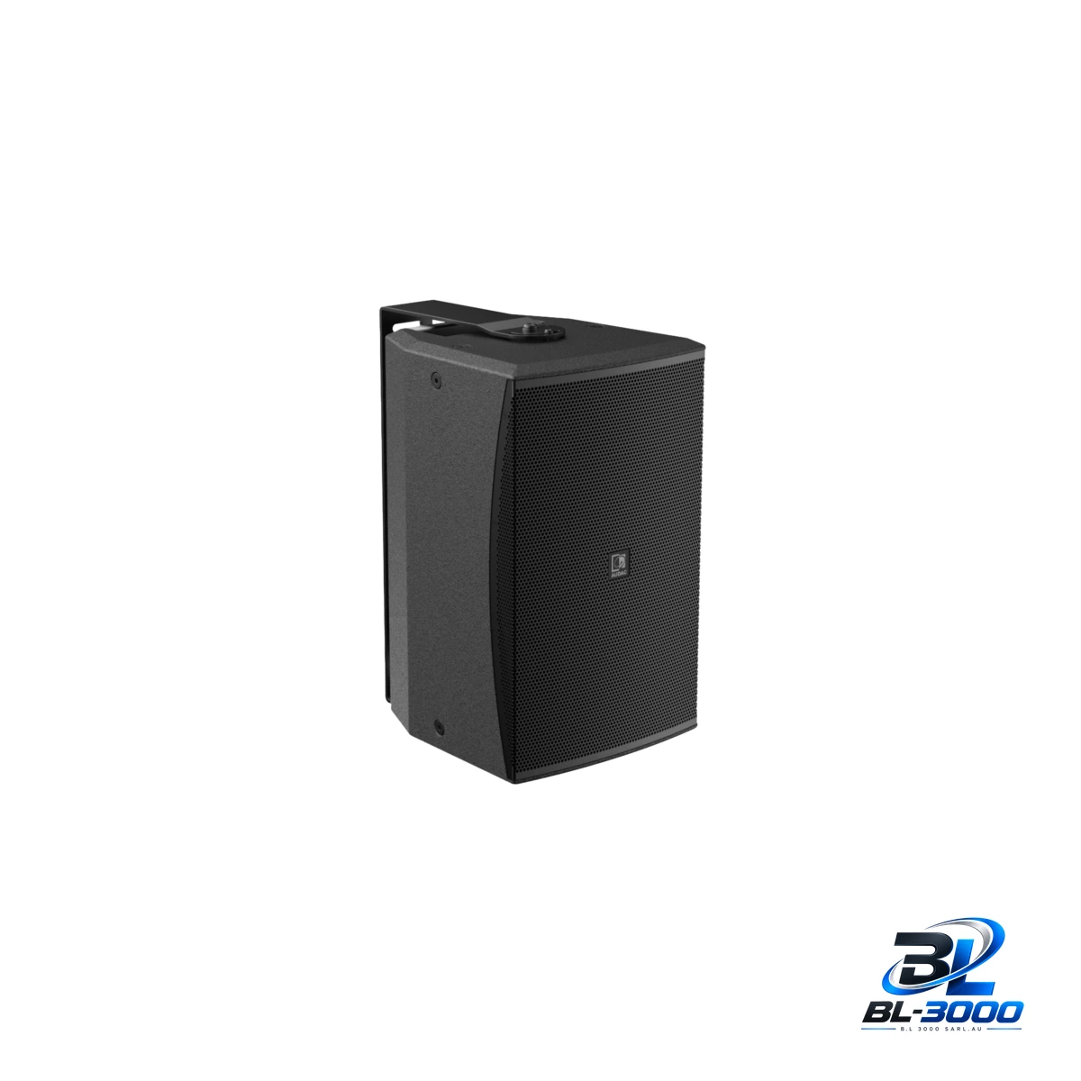Haut-parleur de puissance,10' 300W