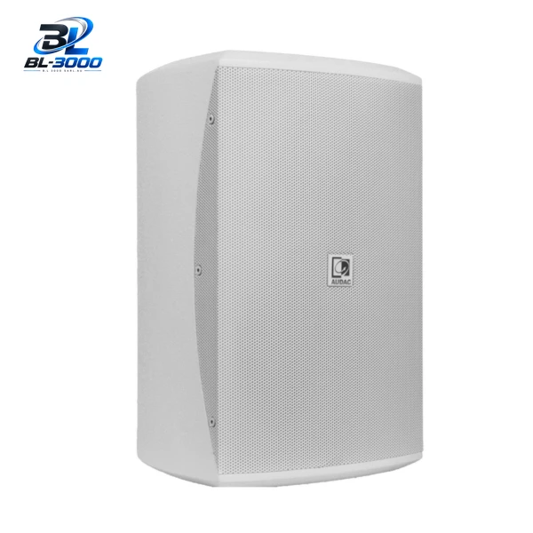 Haut parleur large bande 2 voies 6' 80 W