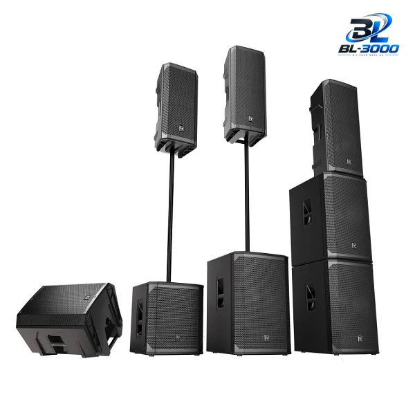 Haut-parleur passif 10 '' 300 W - Vue 3
