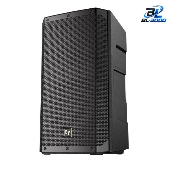 Haut-parleur passif 12 '' 300 W - Vue 2