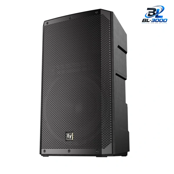 Haut-parleur passif 15'' 300 W - Vue 2