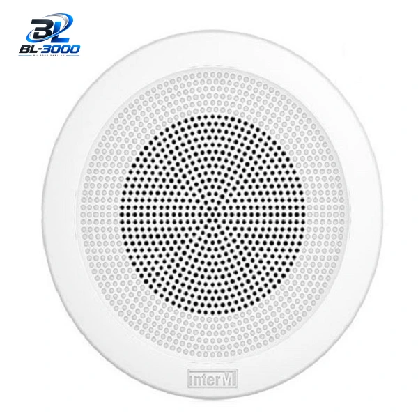 Haut-parleurs de plafond 3w