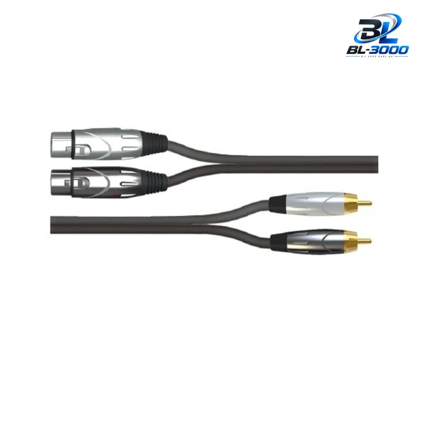 Câble 2 XLR Femelle vers RCA male