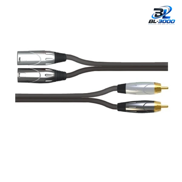 Câble 2 XLR male vers RCA male